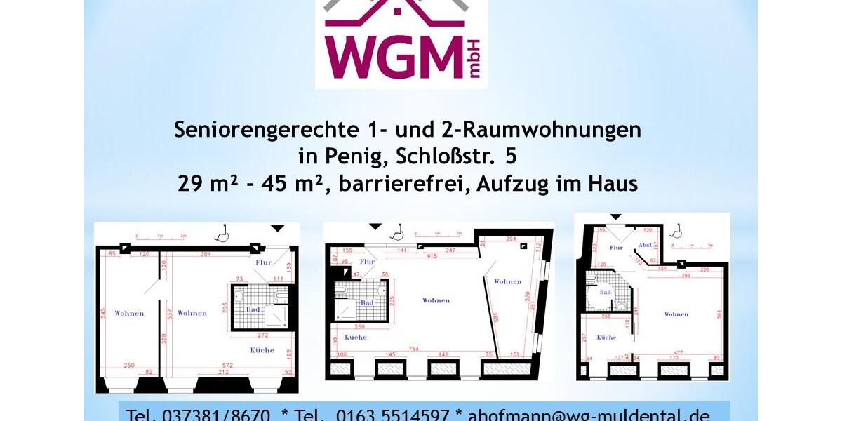 Etagenwohnung Penig - 2 Zimmer, 45 m&sup2;, 299&euro; | Angebot:8853808