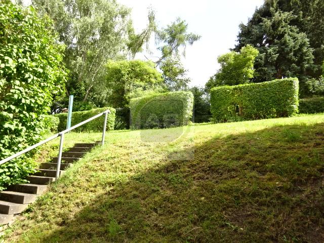 Etagenwohnung Zwickau - 3 Zimmer, 60 m&sup2;, 360&euro; | Angebot:23598699