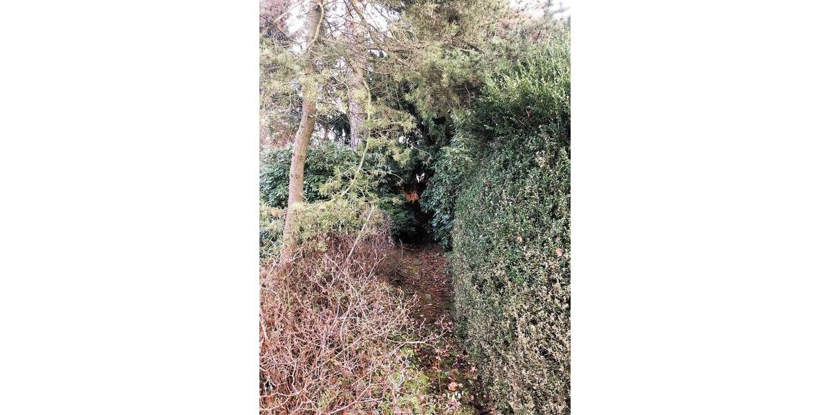 Grundstück Lichtentanne Schönfels - 45.000&euro; | Angebot:25678793