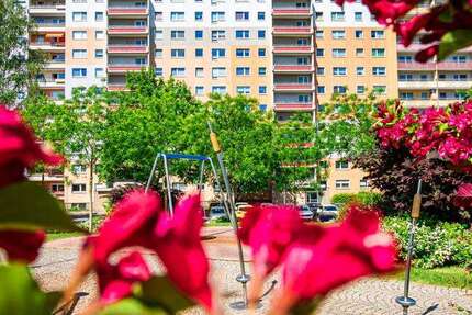 Wohnung Zwickau Innenstadt - 1 Zimmer, 36 m&sup2;, 252&euro; | Angebot:23526227