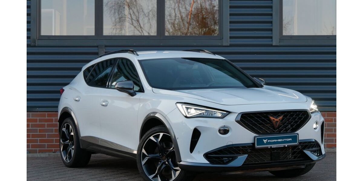 Cupra Formentor 36.790 km 33.590 &euro; Schneeberg 08289