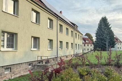 Wohnung Mülsen - 4 Zimmer, 64 m&sup2;, 405&euro; | Angebot:22551798