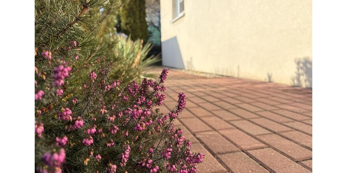 Einfamilienhaus Zwickau Cainsdorf - 3 Zimmer, 95 m&sup2;, 1.300&euro; | Angebot:24963886