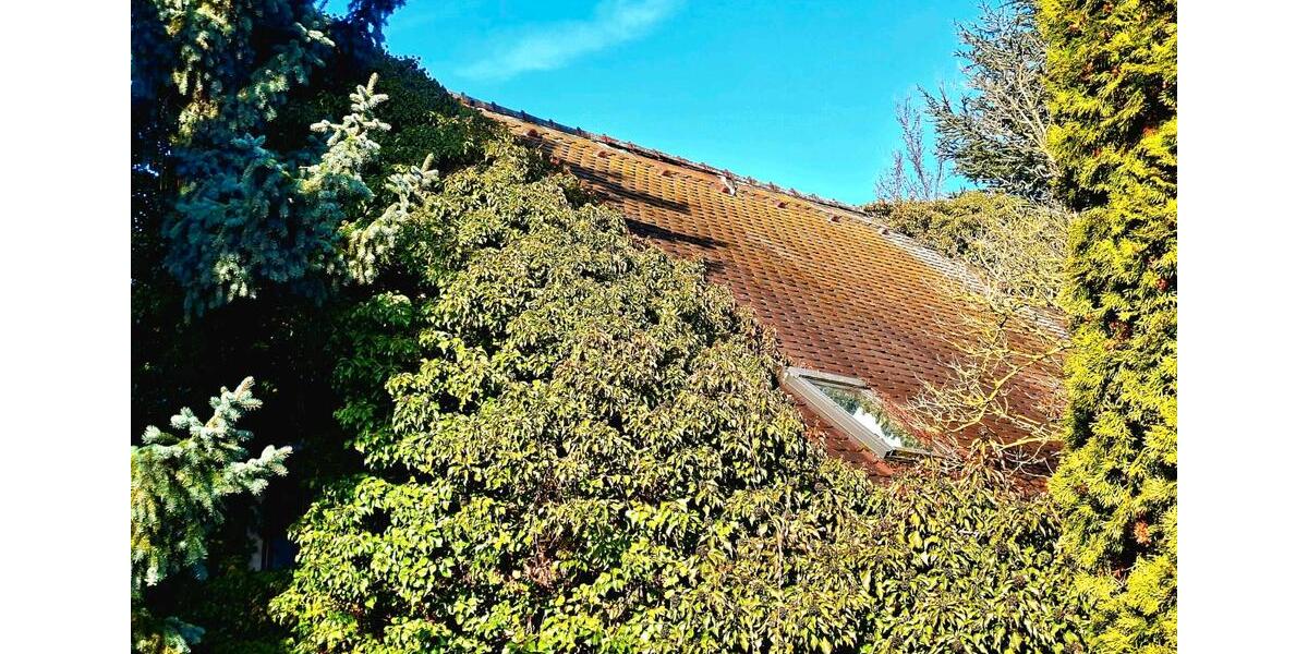 Einfamilienhaus Nobitz - 6 Zimmer, 120 m&sup2;, 55.000&euro; | Angebot:25105736