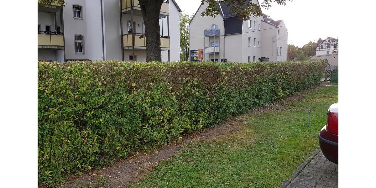 Erdgeschoßwohnung Oelsnitz (Erzgebirge) - 2 Zimmer, 55 m&sup2;, 43.000&euro; | Angebot:23213220