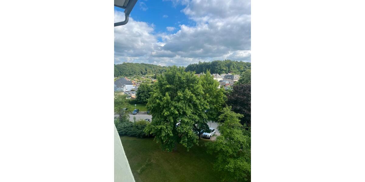 Etagenwohnung Zwickau Zwickau-West - 4 Zimmer, 64 m&sup2;, 757&euro; | Angebot:24847694