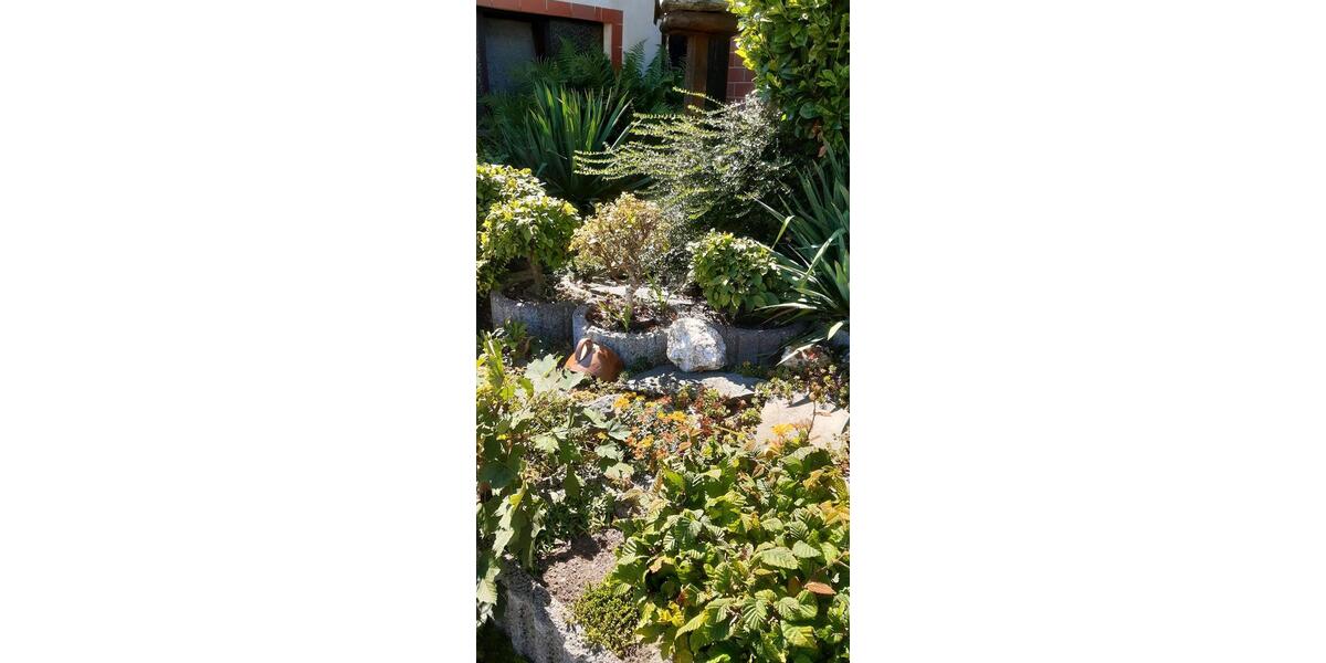 Reihenhaus Greiz - 6 Zimmer, 180 m&sup2;, 74.000&euro; | Angebot:22641100