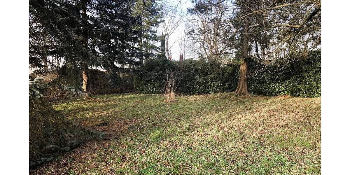 Grundstück Lichtentanne Schönfels - 45.000&euro; | Angebot:25678793