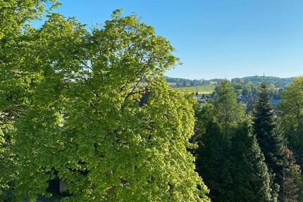 Wohnung Wildenfels - 2 Zimmer, 57 m&sup2;, 319&euro; | Angebot:27631870