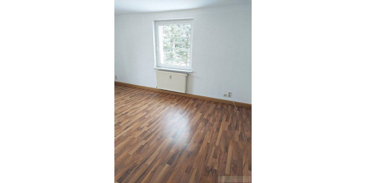 Etagenwohnung Oberlungwitz - 2 Zimmer, 55 m&sup2;, 260&euro; | Angebot:25984606