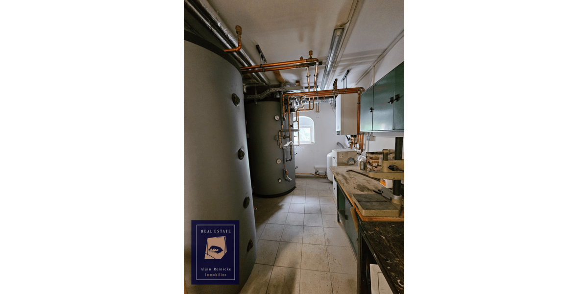 Wohnen mit Geschichte – modernste Effizienz dank Wärmepumpe - Einfamilienhaus Auerbach | Angebot:20967525