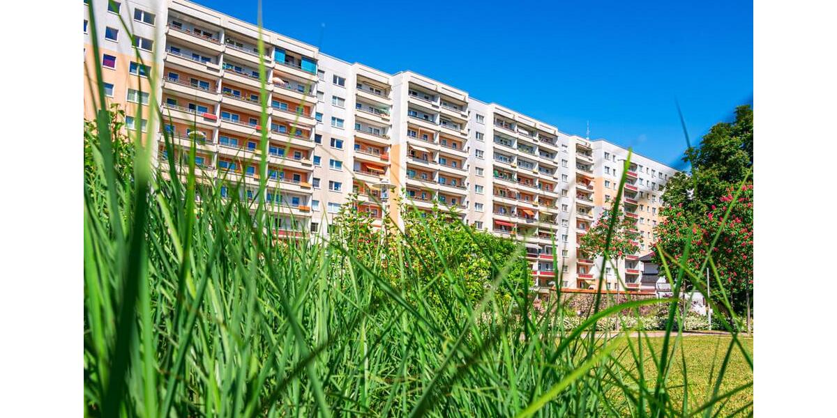 Etagenwohnung Zwickau - 1 Zimmer, 36 m&sup2;, 252&euro; | Angebot:25428641