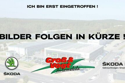 Skoda Kodiaq 50.465 km 37.990 &euro; Schneeberg 08289