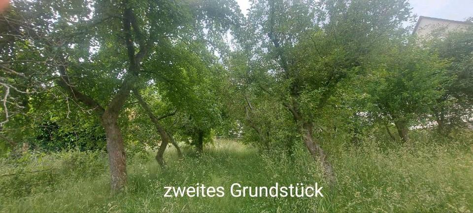 Bauernhaus, Landhaus Wildenfels - 6 Zimmer, 150 m&sup2;, 49.000&euro; | Angebot:25926267