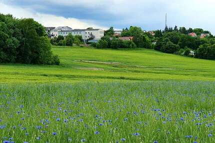 Grundstück Auerbach/Vogtland Vogtland - 78.520&euro; | Angebot:7710506