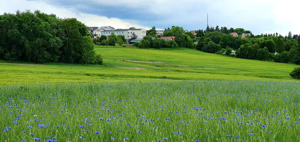 Grundstück Auerbach/Vogtland Vogtland - 78.520&euro; | Angebot:7710506