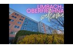 Etagenwohnung Limbach-Oberfrohna Oberfrohna - 1 Zimmer, 35 m&sup2;, 189&euro; | Angebot:25945698