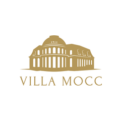 Villa Mocc Zwickau