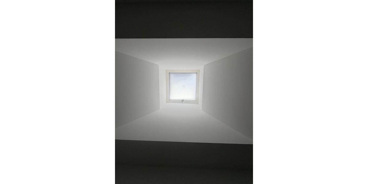 Etagenwohnung Auerbach/Vogtland Vogtland - 3 Zimmer, 102 m&sup2;, 750&euro; | Angebot:23844966