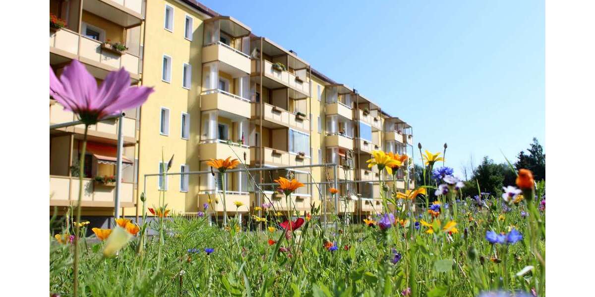 Etagenwohnung Reichenbach Oberreichenbach - 2 Zimmer, 42 m&sup2;, 210&euro; | Angebot:26852191