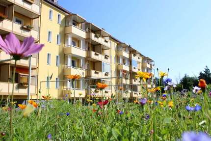 Wohnung Reichenbach Oberreichenbach - 2 Zimmer, 42 m&sup2;, 210&euro; | Angebot:26852191