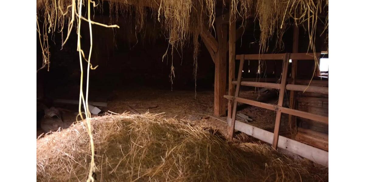 Bauernhaus, Landhaus Berga/Elster Elster - 6 Zimmer, 174 m&sup2;, 65.000&euro; | Angebot:25892640