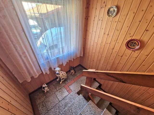 Wohnhaus mit schönem Grundstück in ruhiger Lage! - Einfamilienhaus Penig Wernsdorf | Angebot:25247939