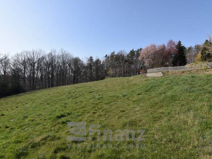 Grundstück Crimmitschau Lauenhain - 56.250&euro; | Angebot:25705551