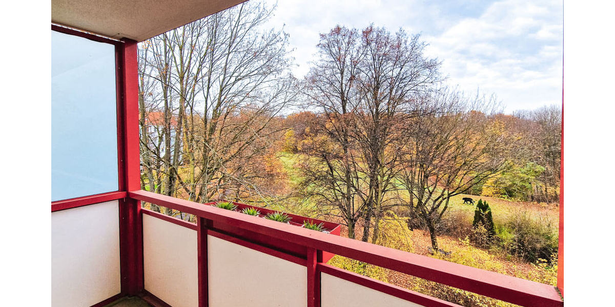 Etagenwohnung Zwickau Eckersbach - 2 Zimmer, 49 m&sup2;, 373&euro; | Angebot:25771303