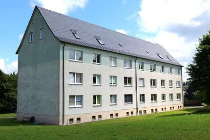 Wohnung Neustadt/Vogtland Vogtland - 2 Zimmer, 46 m&sup2;, 250&euro; | Angebot:24464347