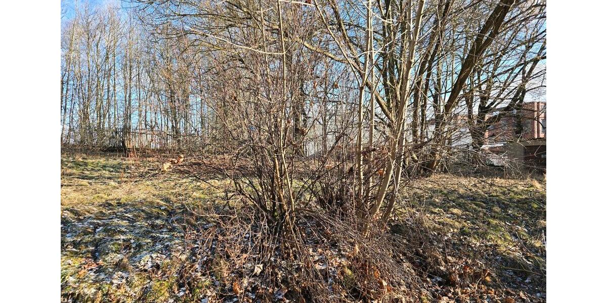 Einfamilienhaus Reichenbach im Vogtland - 174.000&euro; | Angebot:25305191