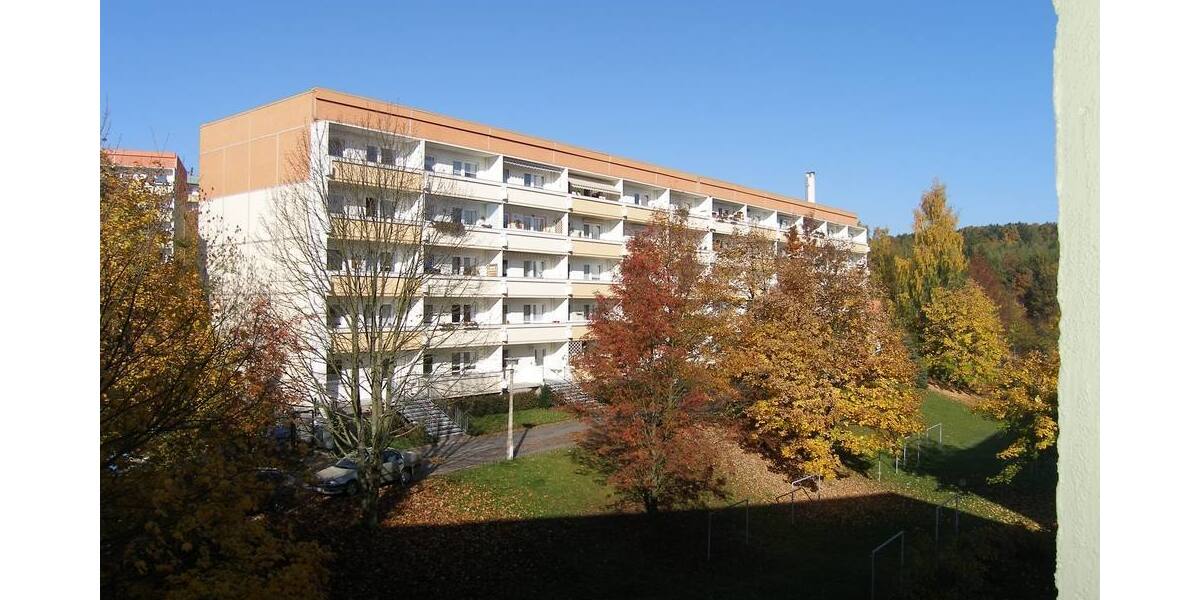 Etagenwohnung Thalheim - 3 Zimmer, 71 m&sup2;, 320&euro; | Angebot:1888357