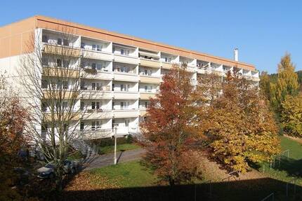 Wohnung Thalheim - 3 Zimmer, 71 m&sup2;, 320&euro; | Angebot:1888357