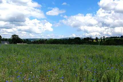 Grundstück Auerbach/Vogtland Vogtland - 105.975&euro; | Angebot:7710499