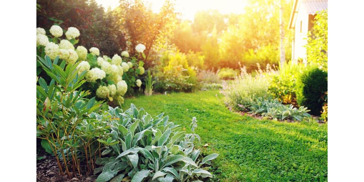 Hochparterre Limbach-Oberfrohna Oberfrohna - 3.5 Zimmer, 114 m&sup2;, 1.142&euro; | Angebot:25540958