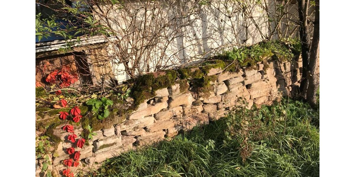 Einfamilienhaus Schmölln - 15 Zimmer, 250 m&sup2;, 150.000&euro; | Angebot:25340346