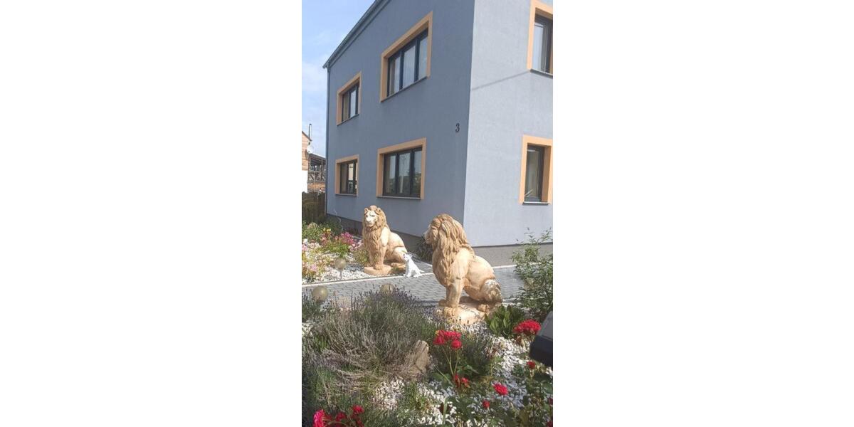 Einfamilienhaus St. Egidien - 7 Zimmer, 225 m&sup2;, 555.555&euro; | Angebot:25945835