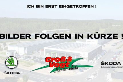 Skoda Fabia 15.288 km 23.990 &euro; Schneeberg 08289