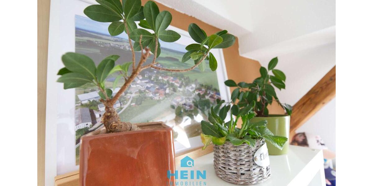 Etagenwohnung Aue-Bad Schlema Bad Schlema - 2 Zimmer, 53 m&sup2;, 270&euro; | Angebot:25717010