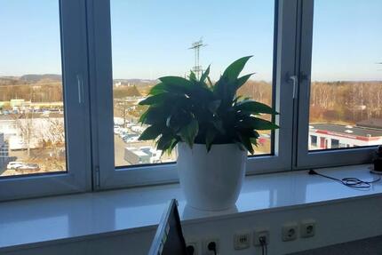 Gewerbeobjekt Zwickau Zwickau-Nord - 673&euro; | Angebot:25498412