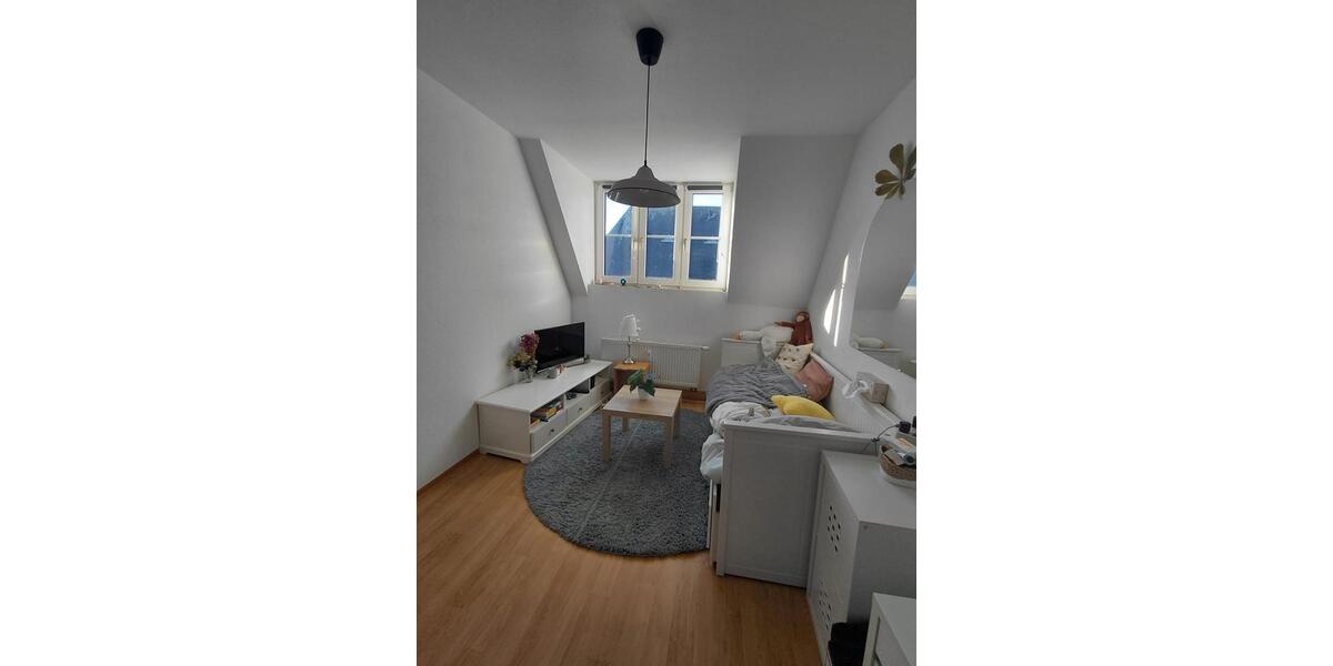 Dachgeschoßwohnung Zwickau - 1 Zimmer, 18 m&sup2;, 165&euro; | Angebot:25308479