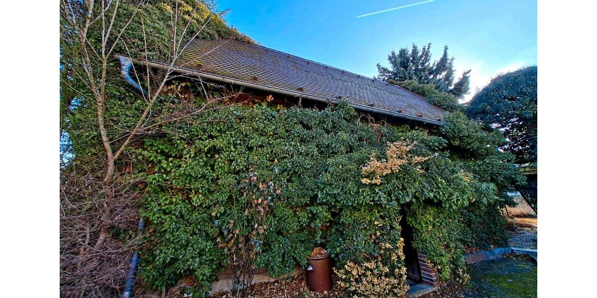 Einfamilienhaus Nobitz - 6 Zimmer, 120 m&sup2;, 55.000&euro; | Angebot:25105736