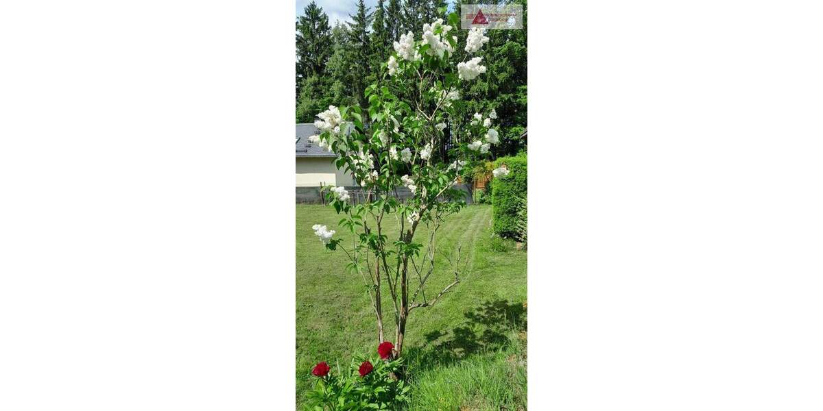 Grundstück Grünhain-Beierfeld Beierfeld - 19.900&euro; | Angebot:25744646