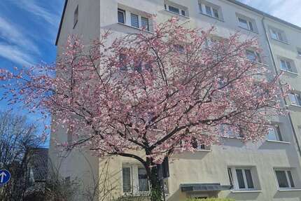 Wohnung Glauchau - 2 Zimmer, 46 m&sup2;, 316&euro; | Angebot:25875715