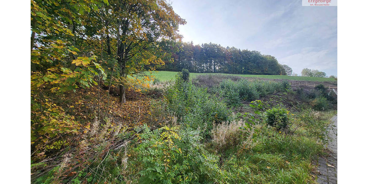 Grundstück Bockau - 62.500&euro; | Angebot:25744551