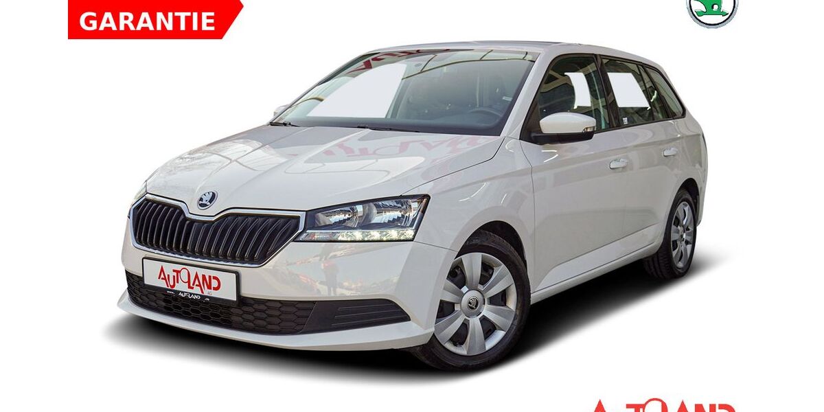 Skoda Fabia 41.144 km 14.950 &euro; Zwickau 08056