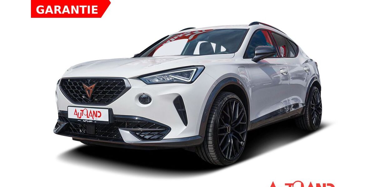 Cupra Formentor 53.214 km 25.950 &euro; Zwickau 08056