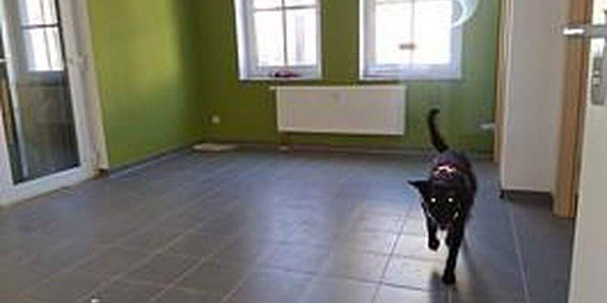 Etagenwohnung Zwickau Pölbitz - 2 Zimmer, 72 m&sup2;, 480&euro; | Angebot:25879815