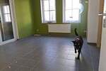 Etagenwohnung Zwickau Pölbitz - 2 Zimmer, 72 m&sup2;, 480&euro; | Angebot:25879815