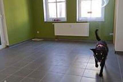 Wohnung Zwickau Pölbitz - 2 Zimmer, 72 m&sup2;, 480&euro; | Angebot:25879815